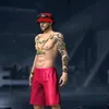dyl1237