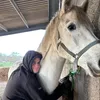 davidlily11
