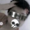 dasky_bee