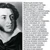 gabo923