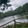 kedellyn_