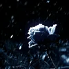 dragon28642