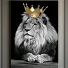 lion12345s1