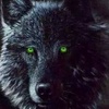 blackwolf0558