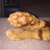 gniooo