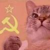 communist_cat619