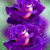saraqueen2712