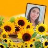 lissethallen
