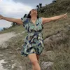 fabisantosca
