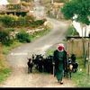 omali632