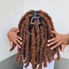 butterflylocs_by_tangy