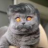 jmnzjrchva
