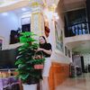 usephuongpham75