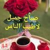 azizaalmasri0