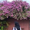 dinidrahayu_