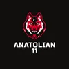 anatolian11