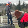 jeremiahswihart4