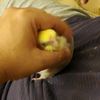 toofat_toofurious