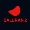 saluran.2