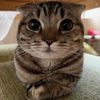 beuv.duv
