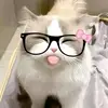 sy_kirr10