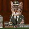 presiden_kucing