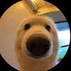 oelyuh_8071