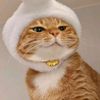 miaw.miaw.meong