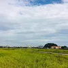poloowo