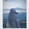 nanda_01020