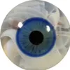 euandisu