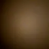omid_2020