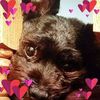 user1153068718839