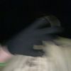 haydo_frmthe217