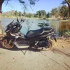 loui_joel