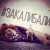 mas7hixxx