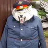 zhenyazubarev