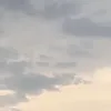 gregivv