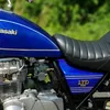 passero981