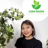 nha_vuon_linh_ngan