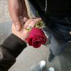 _babayev_s_n_444