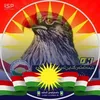 shahabahmad074