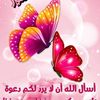 user8801410425769
