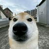 skyro3715
