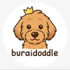 buraidoodle.com