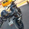 halconaguila1