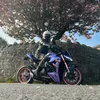 lucyr1des