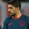 benougoat