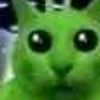 aliencat_44