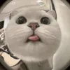 bunca182